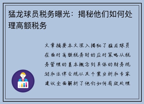 猛龙球员税务曝光：揭秘他们如何处理高额税务